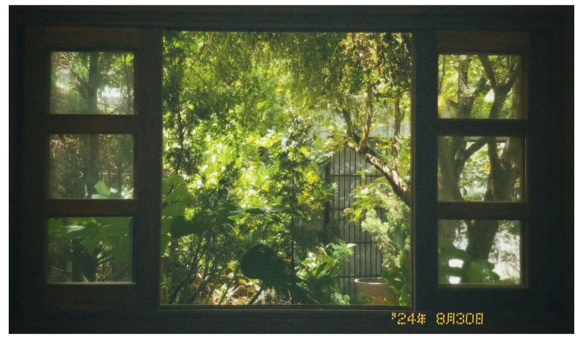 Mobile background image of the blog